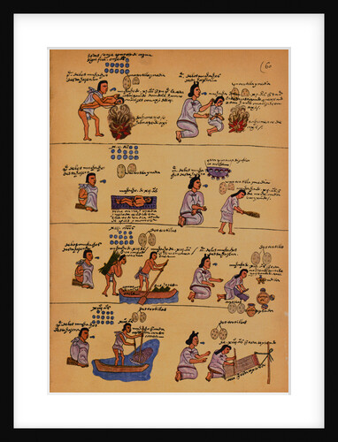 Scenes of Everyday Life from an Aztec Manuscript by Anonymous