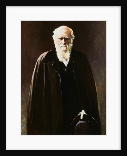 Portrait of Charles Darwin by Anonymous