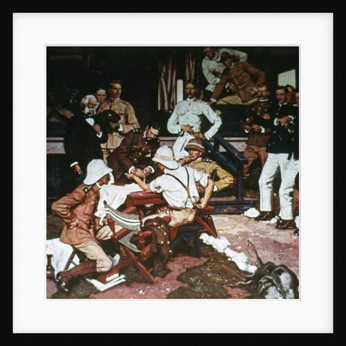 Conquest of Yellow Fever by Dr. Reed