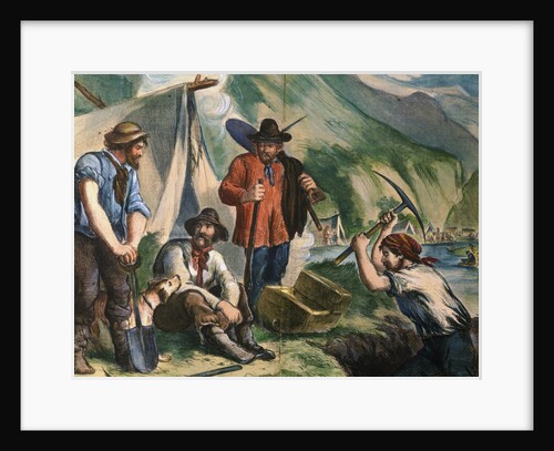 California Gold Diggers Illustration by Anonymous