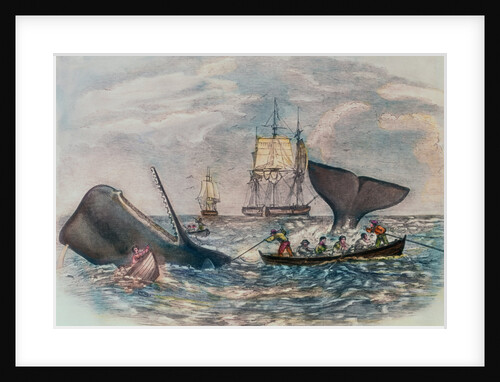South Sea Whaling by Anonymous