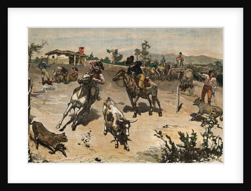 Cowboys Roping Cattle by Anonymous