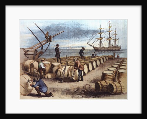 Color Print of Wharf Workers Measuring Whale Oil Content in Barrels by Anonymous