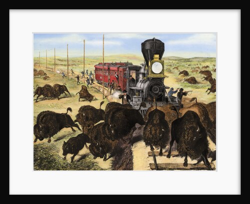 Shooting Buffalo on the Kansas-Pacific Railroad by Anonymous