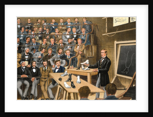 Lecturer Presenting Model of Foot in Class Presentation by Anonymous