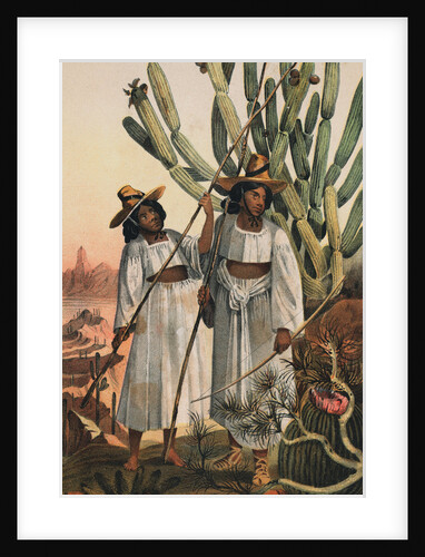 Portrait of Papago Indians by Anonymous
