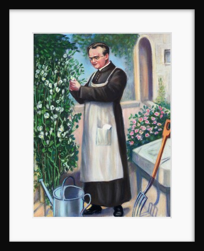 Gregor Mendel at Work in His Genetic Strain Garden by Anonymous
