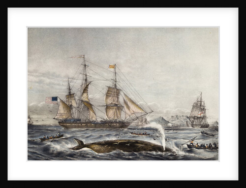 Cape of Good Hope by Anonymous