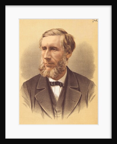 Physicist John Tyndall by Anonymous