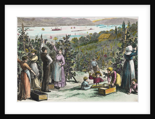 Farmers Picking Grapes on River's Edge by Anonymous