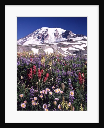Flowers before Mount Rainier by Anonymous