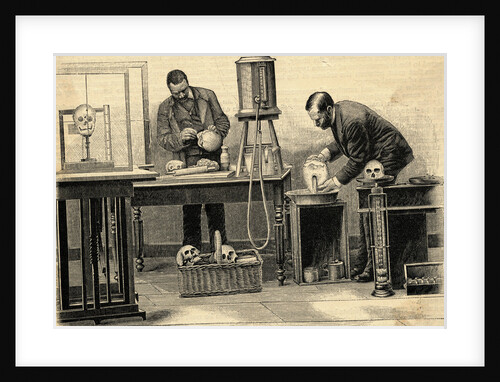 Measuring cranial Capacity of Skulls by Anonymous