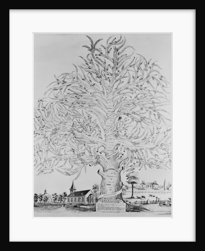 Illustration of "Lee" Family Tree by Anonymous