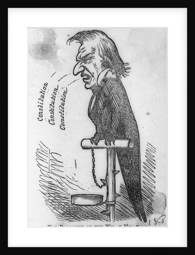 Cartoon of Andrew Johnson as Parrot by Anonymous