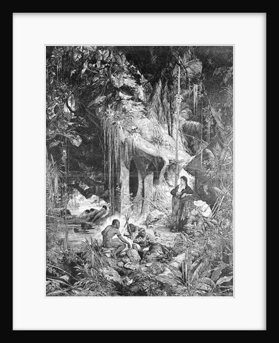 Alexander von Humboldt Beside River by Anonymous