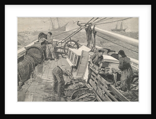 Fisherman Preparing Fish by Anonymous