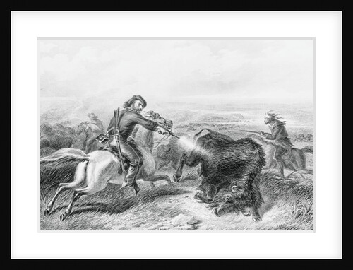 Illustration of Hunter Shooting Buffalo by Anonymous