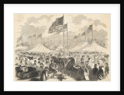People Attending State Fair by Anonymous