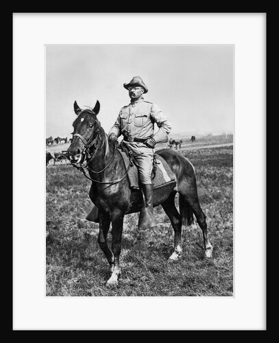 Theodore Roosevelt Riding Horse by Anonymous