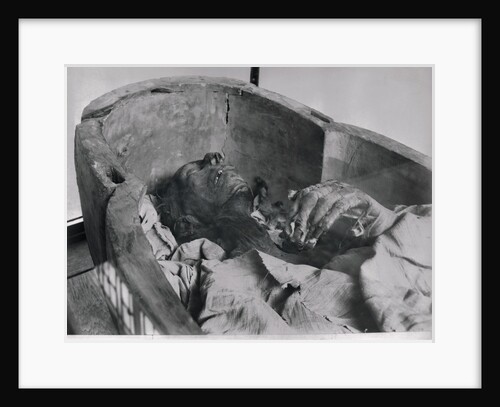 Mummy of Ramses II King of 19th Dynasty of Egypt by Anonymous
