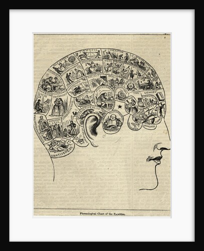 Phrenological Chart Showing Mental Functions by Anonymous