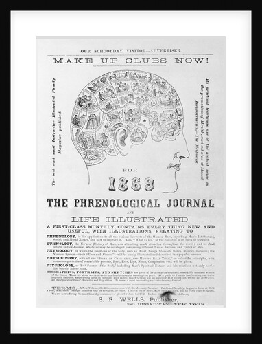 Head From 1869 Phrenological Journal by Anonymous