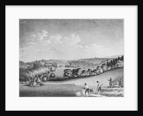 Men Harvesting Wheat by Anonymous