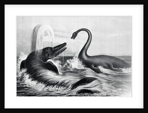 Prehistoric Creatures in Water by Anonymous