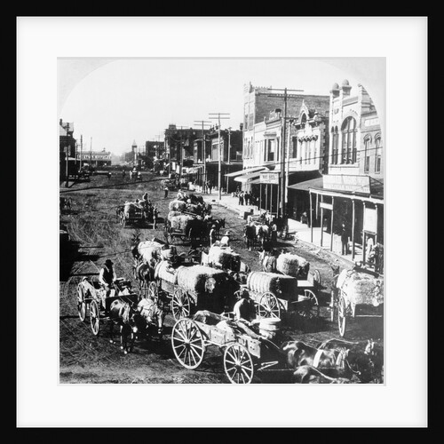 People Delivering Cotton on Wagons by Anonymous