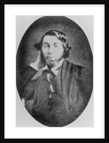 Portrait of Walt Whitman by Anonymous