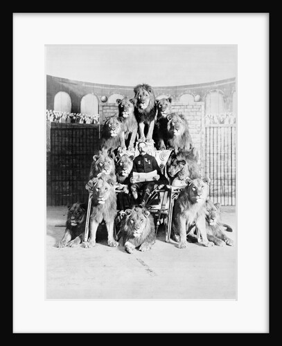 Animal Trainer Posing with Lions by Anonymous