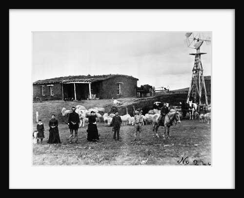Sheep Farm in American West by Anonymous