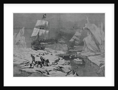 Men Slaughtering Seals by Anonymous