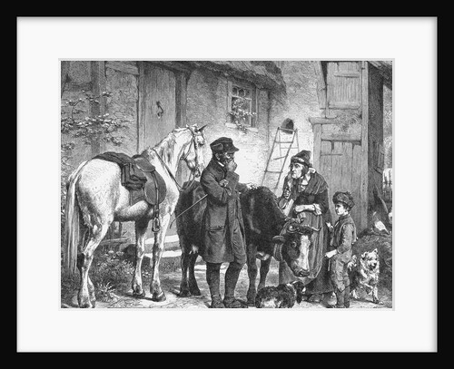 Veterinarian Inspecting Sick Cattle by Anonymous