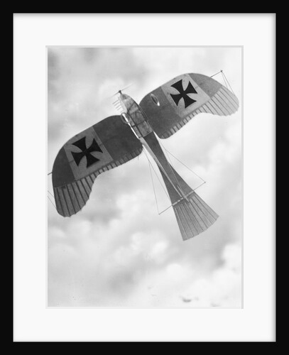 Model of a German Rumpler Taube Aircraft by Anonymous