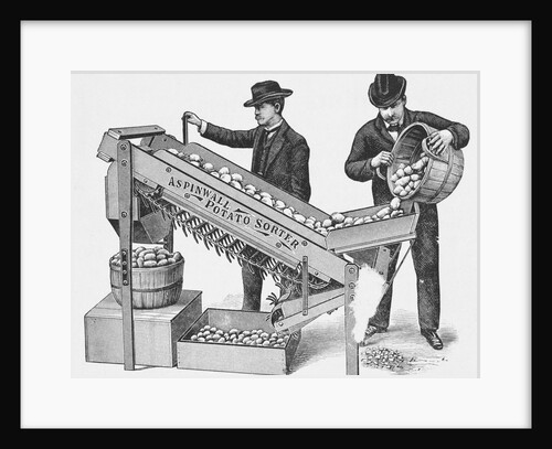 Two Men Using a Potato Sorting Machine by Anonymous