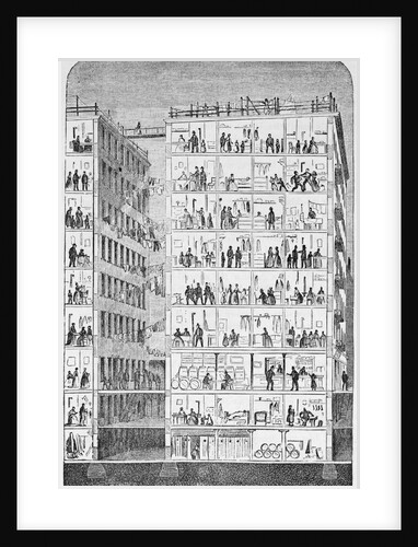 Cross Section of a Tenement House by Anonymous