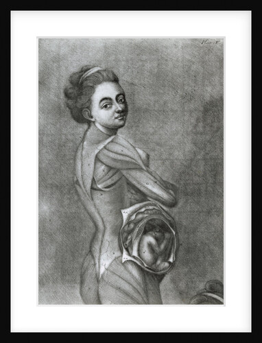 Illustration of Pregnant Woman by Anonymous