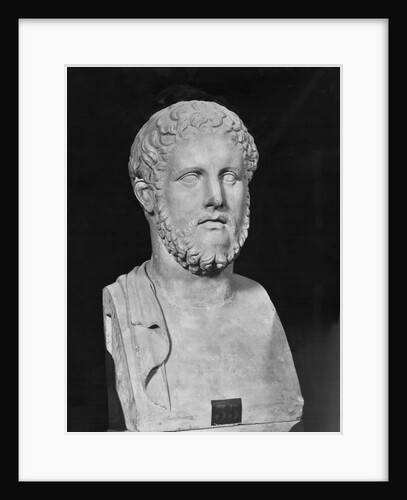Bust Sculpture of Alcibiades by Anonymous