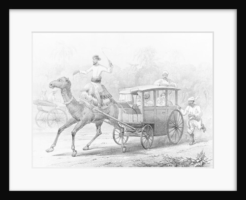People Riding in Camel Drawn Coach by Anonymous