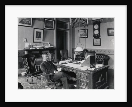 Theodore Roosevelt in Office by Anonymous
