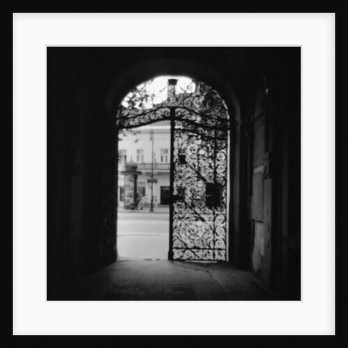 Plant Motif on an Iron Gate by Anonymous