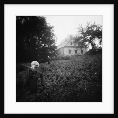 Scarecrows in a Small Vegetable Garden by Anonymous