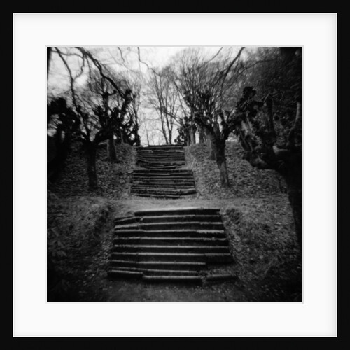 Run-Down Stairway Among Leafless Cherry Trees by Anonymous