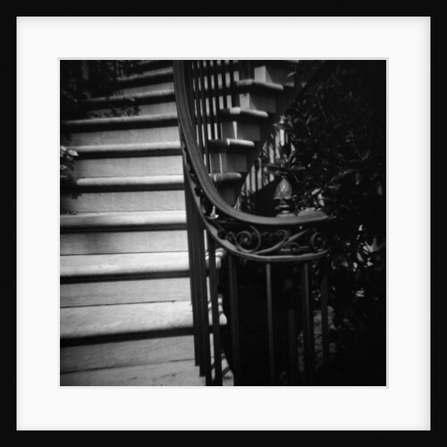 Floral Motif Railing Along a Stairway by Anonymous