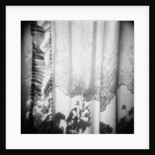 Curtain with Flower Shadow Annette Fournet by Anonymous