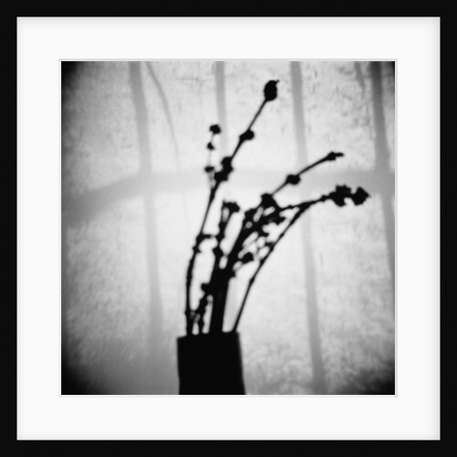 Japanese Shadow by Annette Fournet