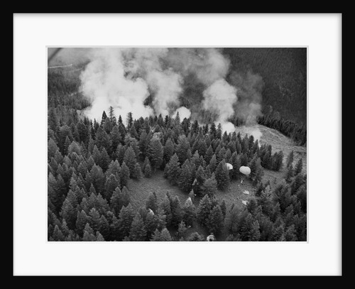 Firejumpers in Lolo National Forest by Anonymous