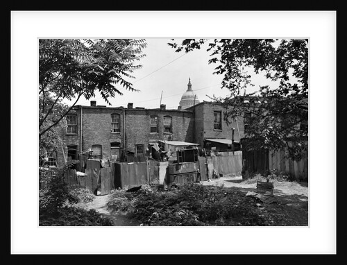 Alley in Washington Slum by Anonymous