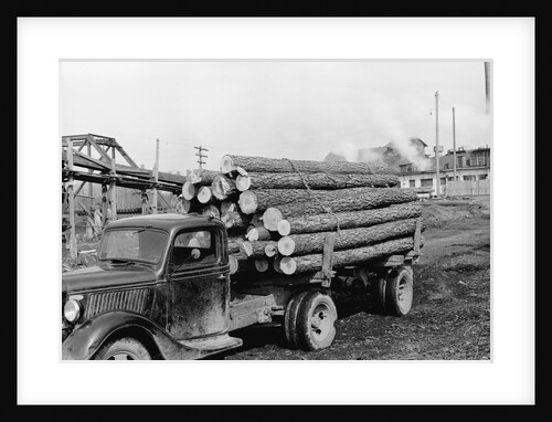 Logging Truck at Sawmill by Anonymous